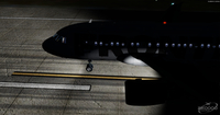 Airbus Pacchetto livrea A318 111 FSX P3D 10