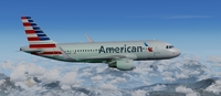 Airbus A319 100 リバリーパック FSX P3D 16