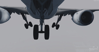 Airbus Pacchetto livrea A319 100 FSX P3D 23