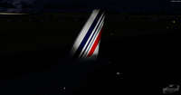 Airbus Pacote de pintura A319 100 FSX P3D 39