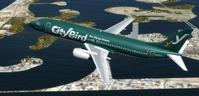 Boeing 737 400 Multi Livery Nativ FSX P3D 10