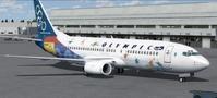 Boeing 737マルチリバリーネイティブ FSX P3D 15