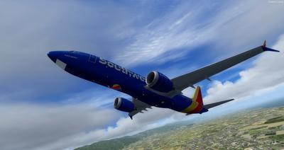 Boeing 737MAX8マルチリバリー FSX P3D 33