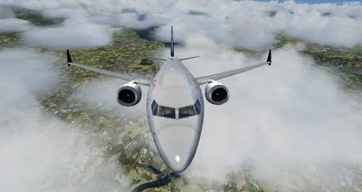 Boeing 737MAX8マルチリバリー FSX P3D 37