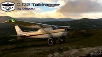 Cessna 172 Tail dragger MSFS 2020 10