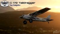 Cessna 172 Tail dragger MSFS 2020 17