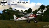 Cessna 172 Tail dragger MSFS 2020 24