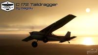 Cessna 172 Tail dragger MSFS 2020 25