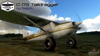 Cessna 172 Trascinatore di coda MSFS 2020/29