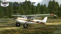 Cessna 172 Trascinatore di coda MSFS 2020/3