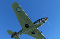 Curtiss P40 Tomahawk MSFS 2020 1