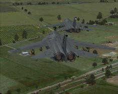 большой палец руки fsx 2010-07-28 23-56-17-88