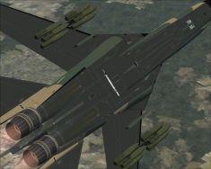 αντίχειρας fsx 2010-12-03 00-31-22-84