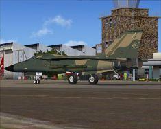 tumme fsx 2011-04-11 21-44-15-77