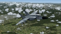 ミコヤン・グレビッチ MiG 25 フォックスバット マルチカラーリング FSX P3D 7