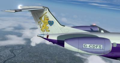 Embraer ERJ 135 Multi livery FSX P3D 31