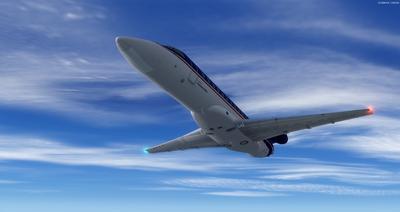 Embraer ERJ 135 Multi-livery FSX P3D 32