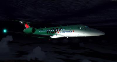 Embraer ERJ 135 多色涂装 FSX P3D 39