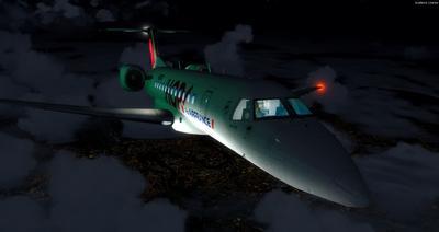 Embraer ERJ 135 Multi-livery FSX P3D 40