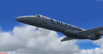 Embraer ERJ 145 Multi-kleuren FSX P3D 26