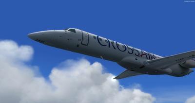 Embraer ERJ 145 多色涂装 FSX P3D 27