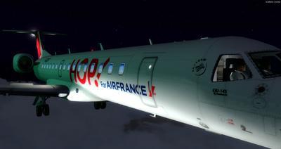 Embraer ERJ 145 Multi-livery FSX P3D 34