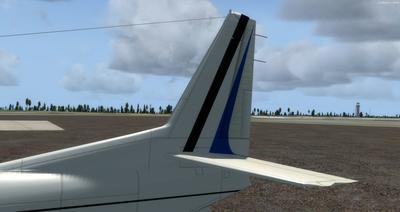 Piaggio P 166 Collectie FSX P3D 12