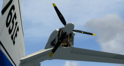 Piaggio P 166 -mallisto FSX P3D 13