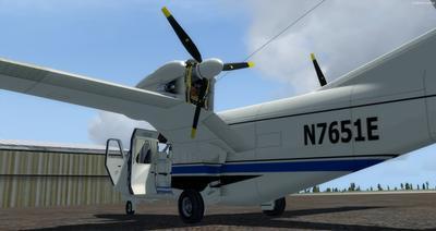 Collezione Piaggio P 166 FSX P3D 5