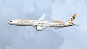 TSD boeing 787メガパック fsx p3d 32