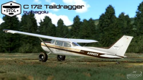 Cessna_172_Tail_dragger_MSFS_2020_33